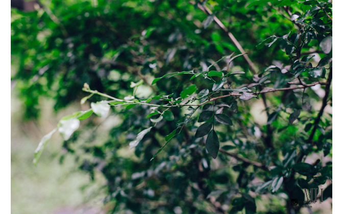 indoor engagement session at home